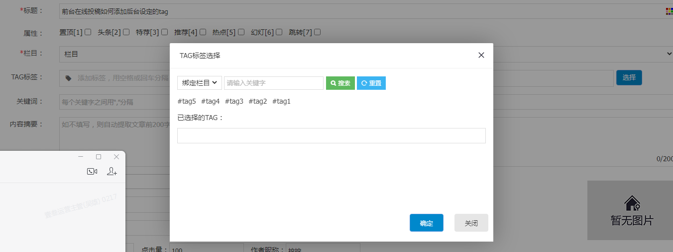 大佬们，前台在线投稿如何显示tag标签选项框