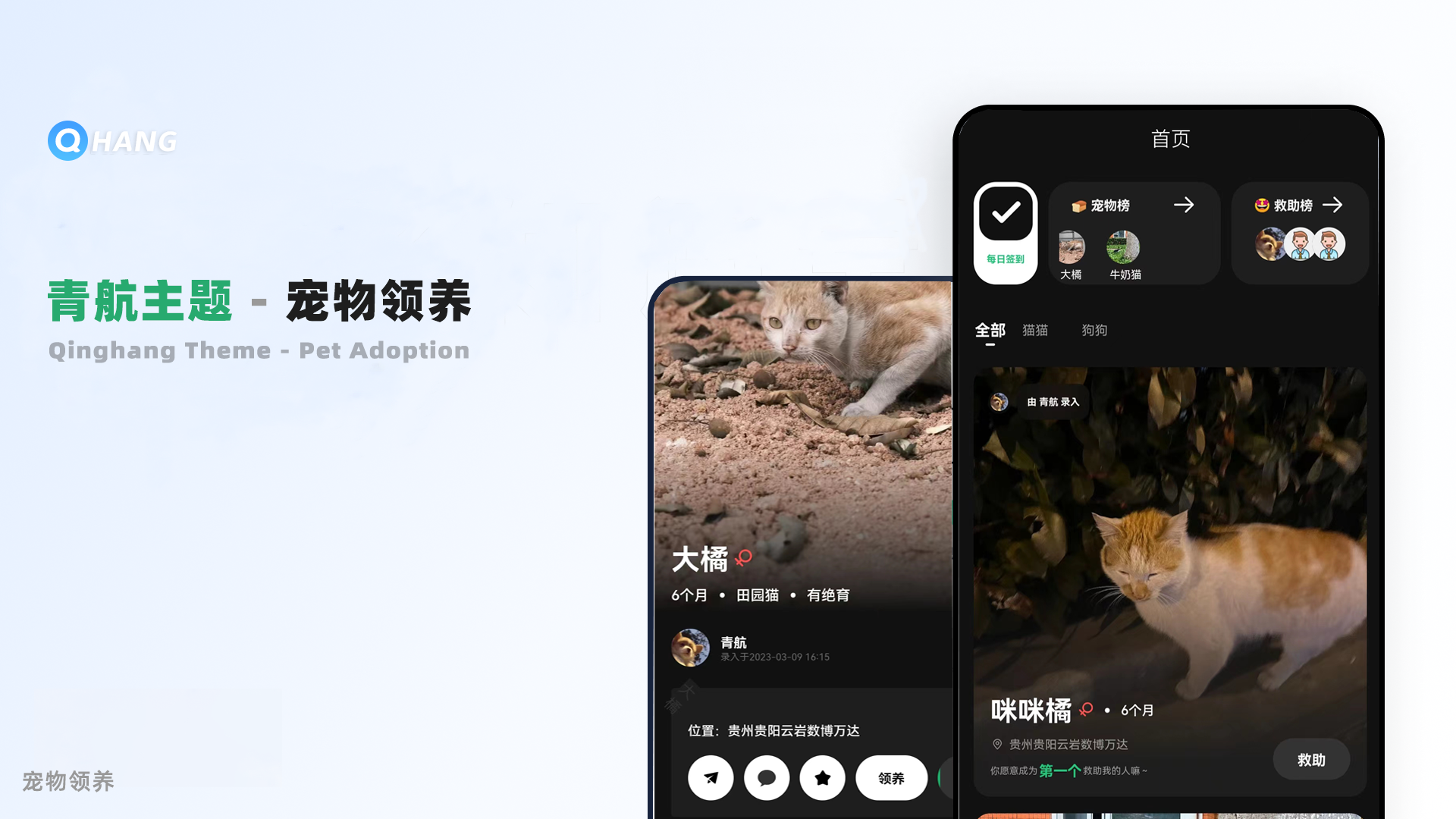 YzmCMS6.7青航主题宠物领养救助APP模块插件